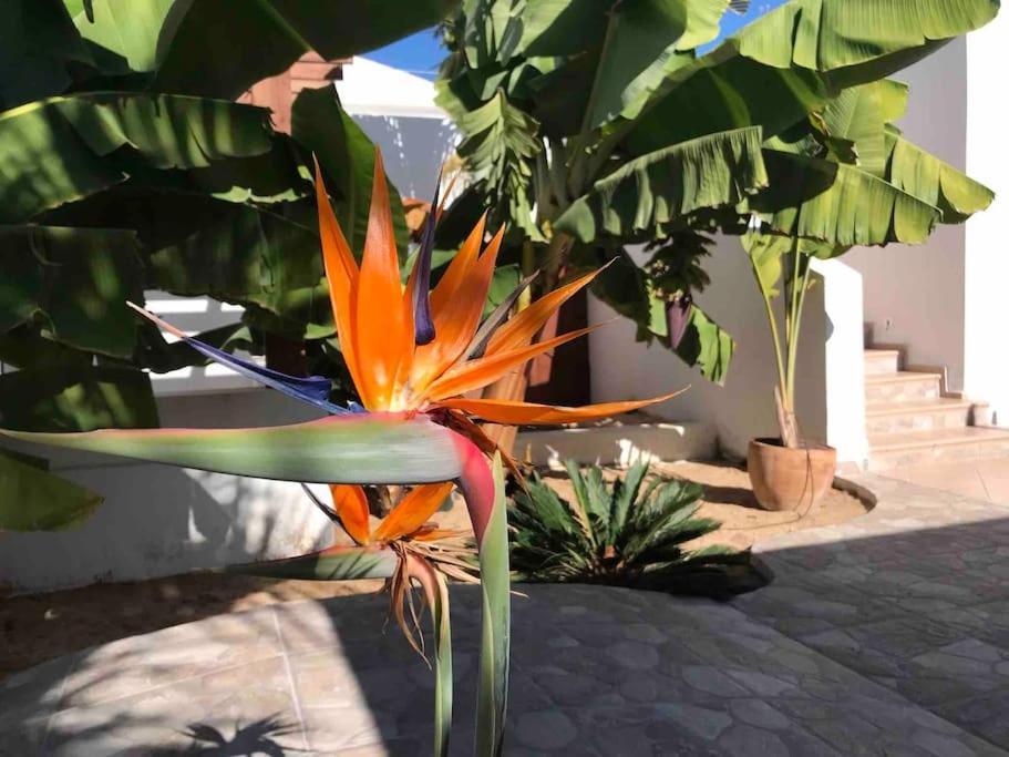 Gezellige Villa Met Prachtig Zicht En Zwembad Arona  Exteriör bild